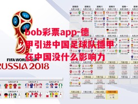 bob彩票app-德甲引进中国足球队德甲在中国没什么影响力